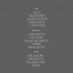 Antica Farmacista Room Spray - Desert Sage, 3.4 Fl Oz (Pack of 1)