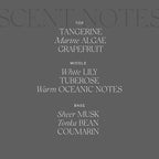 Antica Farmacista Home Ambiance Diffuser, Acqua, 8.45 Fl Oz