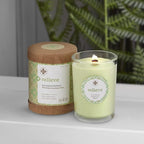 Root Candles Seeking Balance Wood Wick Spa Candle Aromatherapy Candles, 6.5-Ounce, Relieve: Eucalyptus Menthol