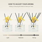 Reed Diffuser Set,7 fl oz (210 ml), Orange Blossom Scent Oil Diffusers with 6 Reed Sticks,Home Fragrance Reed Diffuser for Bathroom Shelf Decor