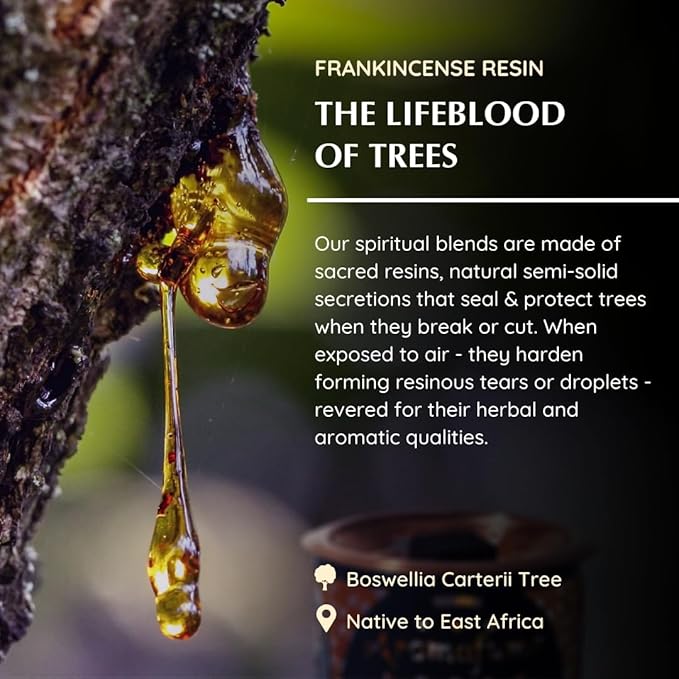 Frankincense Incense Bricks & Tree of Life Exotic Burner by Aromafume | 2 Trays x 9 Bricks | Boswellia Carterii & Boswellia Serrata Extract, Native to East Africa & India | Low-Smoke & Non-Toxic