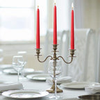 14 Pack Red Taper Candles - Taper Candles 12 Inch Dripless, Smokeless & Unscented - 10 Hours Long Burning - Hand Poured Tall Candlesticks - Ideal for Weddings, Dinner Parties, and Home Decor