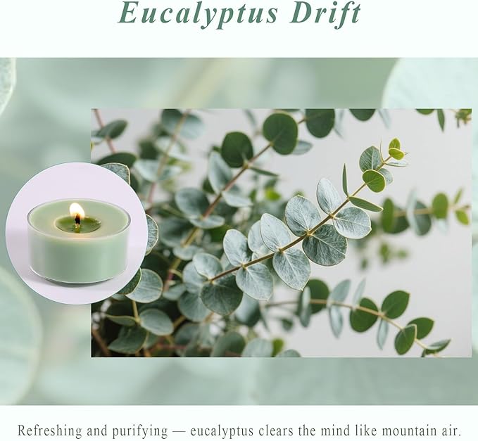 Eucalyptus Drift Scented Tea Lights Candles – Grayish Green – 6 Hour Burn – 100% Palm Wax – Scented Tealight Candles for Winter Holidays, Christmas Calm, Spa Vibes – 48 Pack Scent Votive Candle