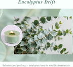Eucalyptus Drift Scented Tea Lights Candles – Grayish Green – 6 Hour Burn – 100% Palm Wax – Scented Tealight Candles for Winter Holidays, Christmas Calm, Spa Vibes – 48 Pack Scent Votive Candle