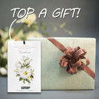 MYARO 12 Packs Scented Sachets for Drawer and Closet, Long-Lasting Potpourri Bags Closet Air Freshener Home Fragrance Sachet 3 Scents Options- Lavender, Bloomy Flower, Gardenia