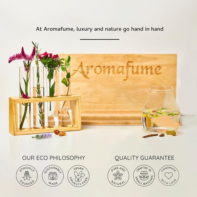 Palo Santo Incense Bricks Gift Set with Exotic Burner | 12 Bricks | Aromatherapy | Smudging | Air fresheners for Home | Meditation Accessories