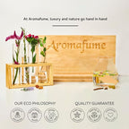 Palo Santo Incense Bricks Gift Set with Exotic Burner | 12 Bricks | Aromatherapy | Smudging | Air fresheners for Home | Meditation Accessories