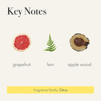 LAFCO New York Signature Reed Diffuser, White Grapefruit - 15 oz - Up to 9 Months Fragrance Life - Reusable, Hand Blown Glass Vessel - Natural Wood Reeds - Made in The USA