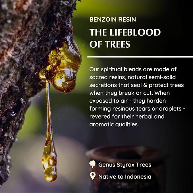 Benzoin Incense Bricks & Flower of Life Exotic Incense Burner by Aromafume | 2 Trays x 9 Bricks | Styrax Extract, Native to Indonesia | Ideal for Prayer & Meditation | Low-Smoke & Non-Toxic