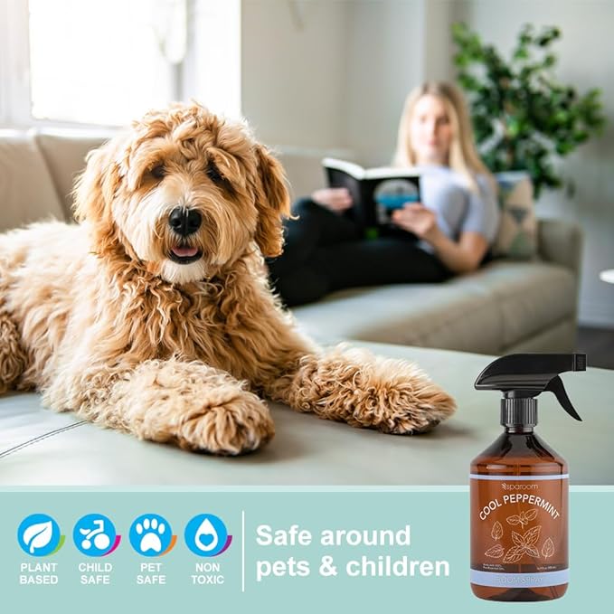 Sparoom Cool Peppermint Air Freshener&Linen Spray Essential Oil Infused an Minty&Crisp Refreshing Fragrance. Therapeutic Grade Aromatherapy, Non-Aerosol and Long-Lasting Invigoration Scent, 16.9 fl oz