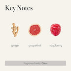 LAFCO New York Classic Reed Diffuser, Champagne - 6 oz - Up to 3 Months Fragrance Life - Reusable, Hand Blown Glass Vessel - Natural Wood Reeds - Made in The USA