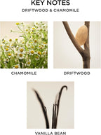 NEST New York Reed Diffuser, Driftwood & Chamomile - 5.9 fl oz - Fragrance for Up to 90 Days - Reusable, Refillable Glass Holder - Includes 8 All-Natural Reed Sticks - Flame Free