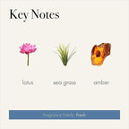 LAFCO New York Reed Diffuser Refill, Sea & Dune - 8.4 oz, Pack of 2 - Up to 4-Month Fragrance Life - Includes Natural Wood Reeds - Free of Dyes & Propellants - Made in the USA