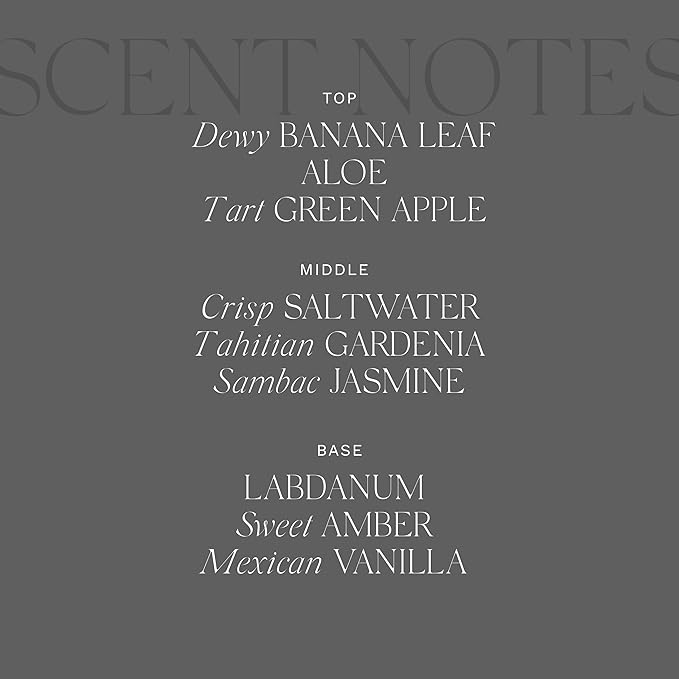 Antica Farmacista Home Ambiance Diffuser, Lush Palm 8.45 Fl Oz