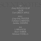 Antica Farmacista Home Ambiance Diffuser, Lush Palm, 16.9 Fl Oz