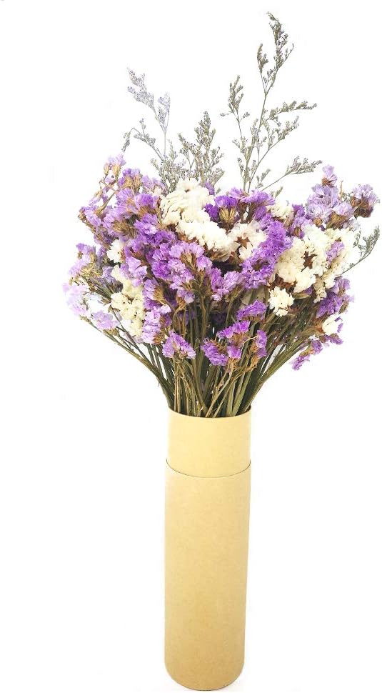 HOSSIAN Reed Diffuser Sticks - Reed diffusers-Reed Sticks -Diffuser Glass Bottles-Diffuser Refills- Natural Rattan Wood Replacement for Aroma Fragrance (9"*3mm Primary Color)