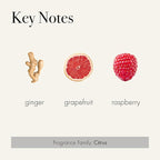 LAFCO New York Odor Removing Room Mist, Champagne - 4 oz - Eliminates Unpleasant Scents & Provides Luxurious Fragrance - Up to 750 Pump Sprays Per Bottle - Made in the USA