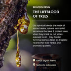 Aromafume Benzoin Incense Bricks Refill Pack 3 Trays x 9 Bricks | Styrax Extract, Native to Indonesia | Ideal for Prayer, Blessings, Prosperity & Meditation | Low-Smoke & Non-Toxic