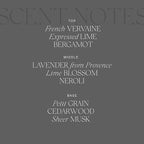 Antica Farmacista Home Ambiance Diffuser, Lavender & Lime Blossom, 8.45 Fl Oz