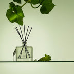 NEST New York Reed Diffuser, Cucumber & White Sage - 5.9 fl oz - Fragrance for Up to 90 Days - Reusable, Refillable Glass Holder - Includes 8 All-Natural Reed Sticks - Flame Free