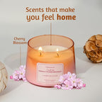 Folkulture Scented Candle | 8.81 Oz - Cherry Blossom Candles for Home Scented | Soy Candle or Non Toxic Candles for Relaxing | Long Lasting Pink Candle for Relaxation Gifts for Women