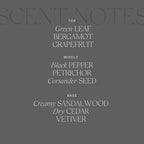 Antica Farmacista Home Ambiance Diffuser,Tarmac, 10.8 Fl Oz