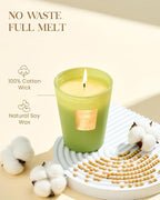 M&SENSE Basil Ginger Scented Natural Soy Wax Candle, 14.1oz 60 Hours Long Lasting Slow Burning Candles for Home Decor, Aromatherapy Candle for Stress Relief