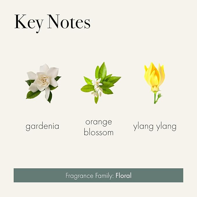 LAFCO New York Reed Diffuser Refill, Fresh Cut Gardenia - 8.4 oz - Up to 4-Month Fragrance Life - Includes Natural Wood Reeds - Free of Dyes & Propellants - Made in the USA