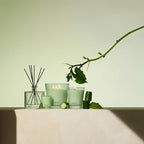 NEST New York Reed Diffuser, Cucumber & White Sage - 5.9 fl oz - Fragrance for Up to 90 Days - Reusable, Refillable Glass Holder - Includes 8 All-Natural Reed Sticks - Flame Free