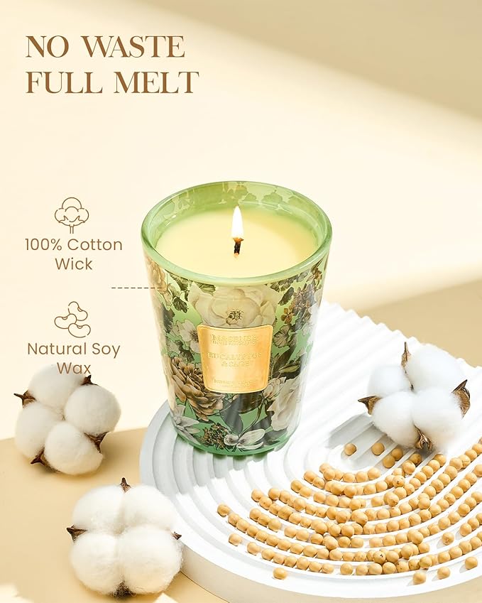 M&SENSE Eucalyptus Sage Scented Candle, 14.1oz 60H Burn Time Slow Burning, Natural Soy Candles Aromatherapy Relaxing Sleep, Home Fragrance Housewarming Gifts