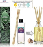 Urban Naturals Moroccan Amber Reed Diffuser Refill Set | Includes a Free Set of Reed Sticks! 4 oz. | Great Gift Idea Home Fragrance Lovers!
