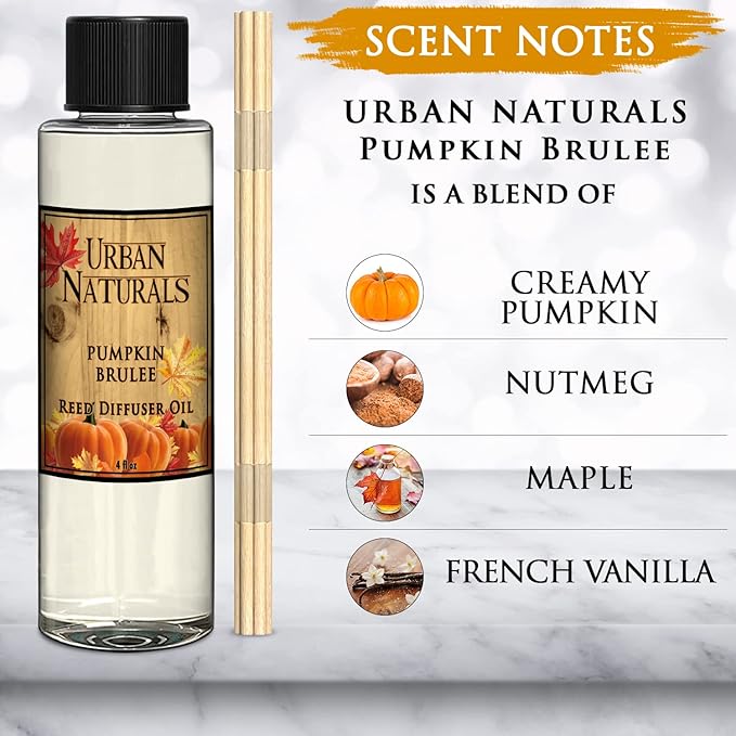 Urban Naturals Pumpkin Brulee Reed Diffuser Refill Oil | Autumn & Winter Home Scent | Creamy Pumpkin Pie, Nutmeg, Maple & French Vanilla | Made in The USA