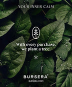 Bursera Terracotta Ceramic Bowl, Tree Planted with Every Order, Decorative Bowl with Side Slot for Matches, Smudging Burn Bowl for Sage, Palo Santo, Matchstick Holder, Form for Candles