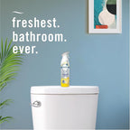 Febreze Air Mist Air Freshener Spray, Odor-Fighting Room Spray, Air Fresheners for Home and Bathroom and Kitchen, Aerosol Can, Kitchen Odor Fighter Scent, 8.8oz, 3 Count