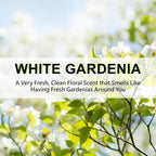 Large 12 Packs White Gardenia Hanging Closet Deodorizer Air Freshener Long Lasting Scented Sachets Smell Goods for House