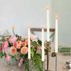 8 Pack Ivory Taper Candles 10 Inch Tall 3/4 Inch Thick Burn 8 Hours