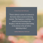 Aera Mini Feu de Bois - Essential Oil for Home - Wood Burning Fragrance - Notes of Smokey Embers and Driftwood - Scent Refill - Capsule Size Works with Mini Diffuser