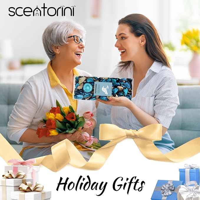 SCENTORINI Potpourri Bags, Potpourri Bowl Filler, Blue Vase Filler, 10.44 oz Ocean Scented Bowl Fillers for Home Decor, Coastal Bathroom Beach Decor