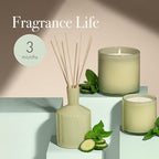 LAFCO New York Classic Reed Diffuser, Wild Honeysuckle - 6 oz - Up to 3 Months Fragrance Life - Reusable Glass Vessel - Natural Wood Reeds - Made in The USA