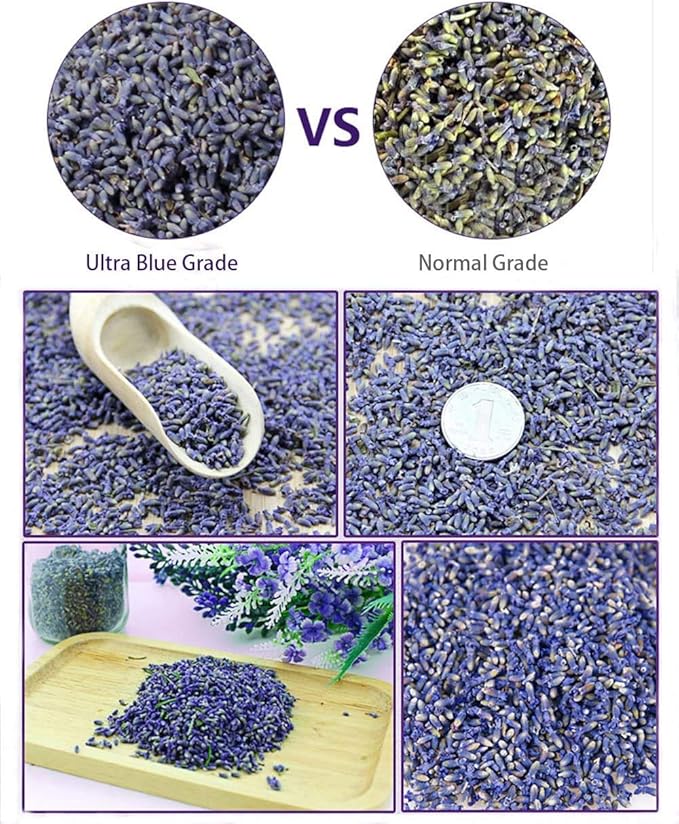 TooGet Lavender Sachet Bags, Natural Ultra Blue Lavender Buds for Home Fragrance, Room Decorations and Fresh Flowers Scent Sachets - Pack of 6