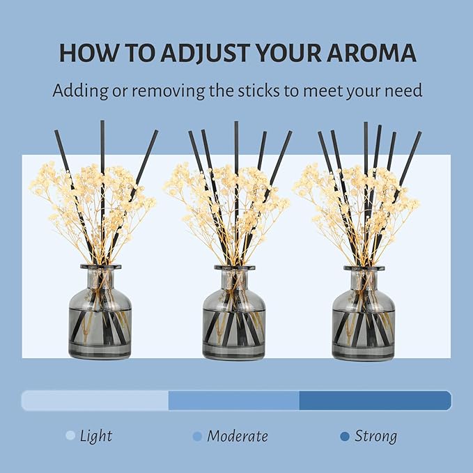 Brakula 2 Pack Reed Diffuser, Eucalyptus & Wild Mint+Lavender Vanilla (3.38 fl oz Each Pack), Home Fragrance with 12 Sticks, Shelf Decor, Reed diffusers for Home