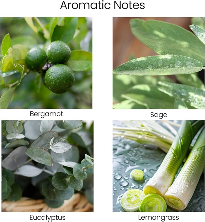 Natur IX Cleansing Scented Candles for Home | Sage & Palo Santo | Natural Non Toxic Soy Candles with Essential Oils | 50 H Long Burning | (Energy + Balance | Bergamot & Sage)