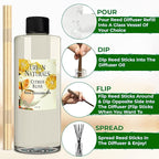 Urban Naturals Reed Diffuser Oil Refill Citrus Bliss with Mandarin, Grapefruit, Lemon Water, Clementine, Green Notes 8 oz + Free Reed Sticks, Made in The USA