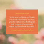 Aera Mini Citrus - Essential Oil for Home - Lemon Zest Fragrance - Notes of Lemon, Orange, Clary Sage and Cedar - Scent Refill - Capsule Size Works with Mini Diffuser