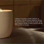 Aesop Callippus Aromatique Candle | Woody, Earthy, Green Scented | 55-65 Hour Burn Time | Vegan-Friendly | 10.5 oz