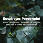 Large 12 Packs Eucalyptus Peppermint Hanging Closet Air Freshener Scented Sachets Long Lasting Smell Goods