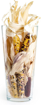 ANDALUCA Natural Vase Fillers Mini Indian Corn | Indian Corn for Fall, Autumn & Thanksgiving Home Decor (Mini Corn)