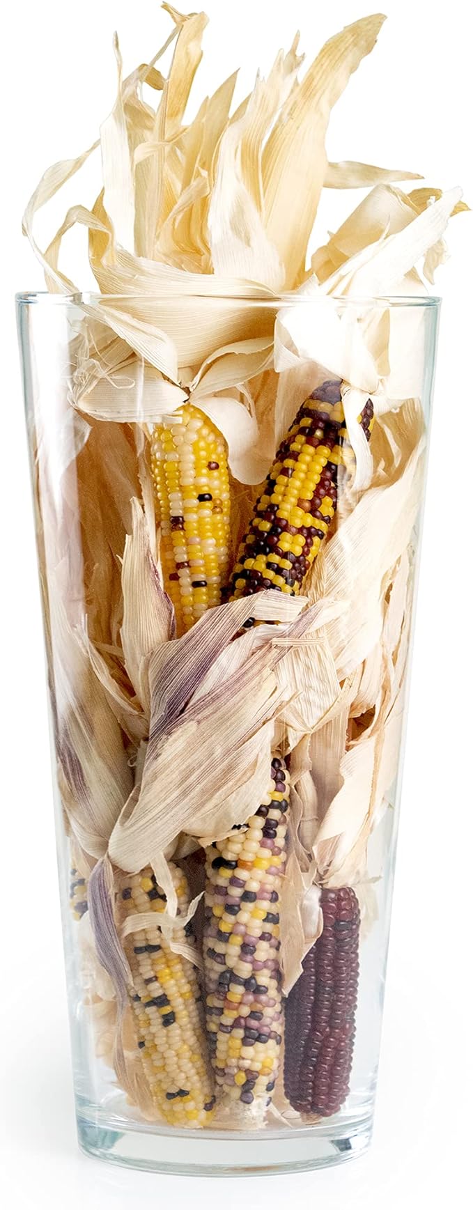 ANDALUCA Natural Vase Fillers Mini Indian Corn | Indian Corn for Fall, Autumn & Thanksgiving Home Decor (Mini Corn)