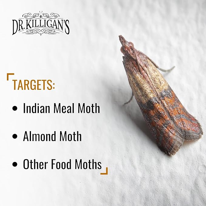 Dr. Killigan's Premium Double Potent Pantry Moth Traps with Pheromones Prime, Sticky Indian Meal Moth Traps for Kitchen, How to Get Rid of Moths in House (6 Pack, Black)