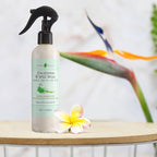 Eucalyptus & Wild Mint Room and Linen Spray, Natural Aromatic Mist Made with Pure Eucalyptus & Wild Mint Essential Oils, Refreshing Air Freshener Odor Eliminator Positive Essence (8.5 fl oz)